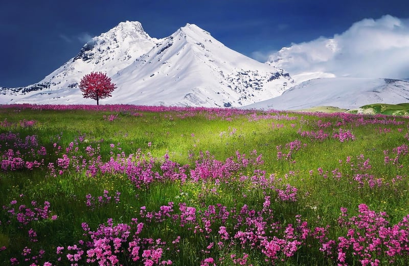 Snowy Peaks