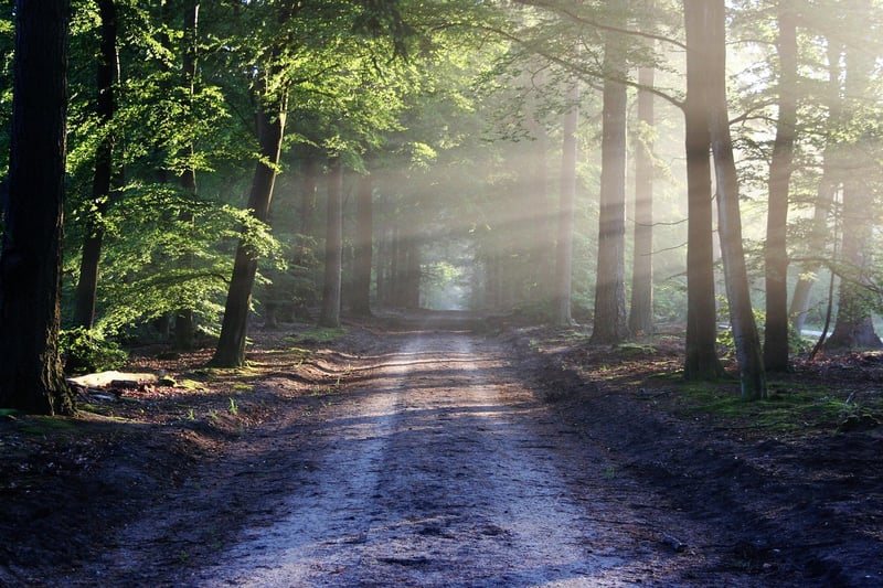Trail Navigation
