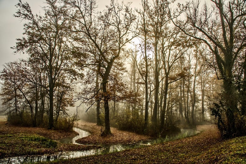 Black Forest, Germany